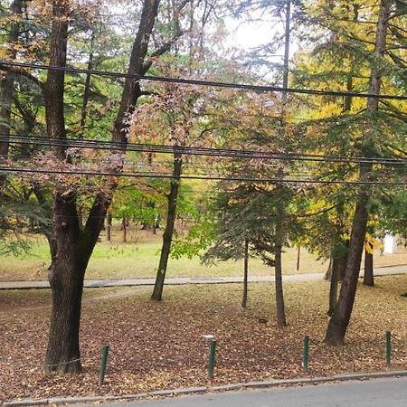 Centar_Park Lägenhet Arandjelovac Exteriör bild
